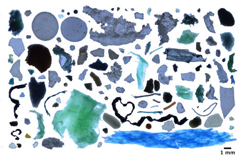 A collage of degraded small plastics found in the Arctic.